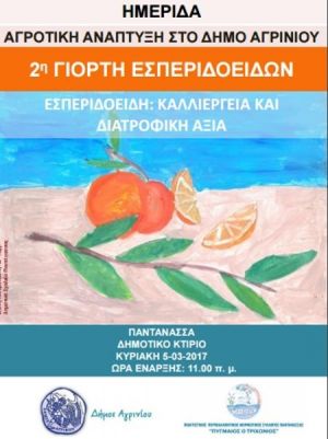 2η Γιορτή Εσπεριδοειδών στην Παντάνασσα (Κυρ 5/3/2017)