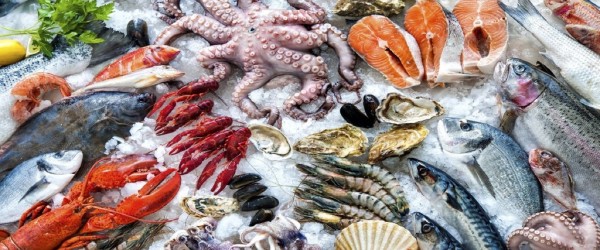 Τα καλύτερα ψάρια για χαμηλά λιπαρά που είναι πλούσια σε Ω-3: Δείτε τον απόλυτο οδηγό επιλογής