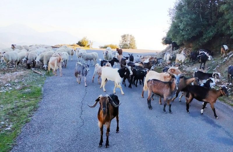 Από 10 Ιανουαρίου και για 10 ημέρες οι ενστάσεις για την Εξισωτική