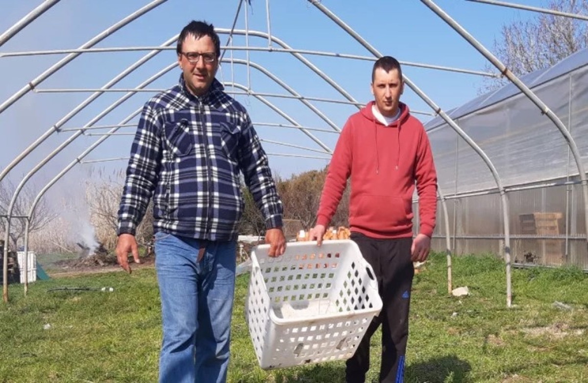 Ένα κοινωνικό αγρόκτημα «συνδέει ανθρώπους» στην Ιταλία