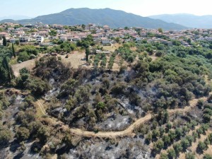 Αποκαρδιωτική εικόνα στη Σταμνά- Το μέγεθος της καταστροφής από ψηλά (φωτο)