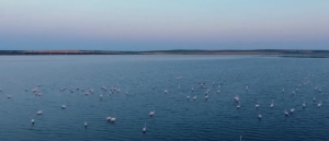 Ντοκιμαντέρ για τον «Μαγικό Κόσμο των Λιμνών»