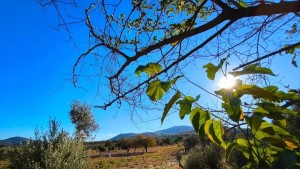 Ψυχρολουσία με τον καιρό – Βροχές από τη Μεγάλη Πέμπτη και Ανάσταση με αρκετό κρύο