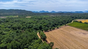 Δάσος Φράξου: Ο άγνωστος παράδεισος με τη σπάνια φύση (www.newmoney.gr)