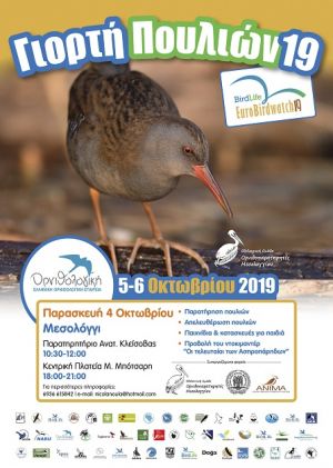 Εκδήλωση στο Μεσολόγγι για την Ευρωπαϊκή Γιορτή Πουλιών 2019 (Παρ 4/10/2019)