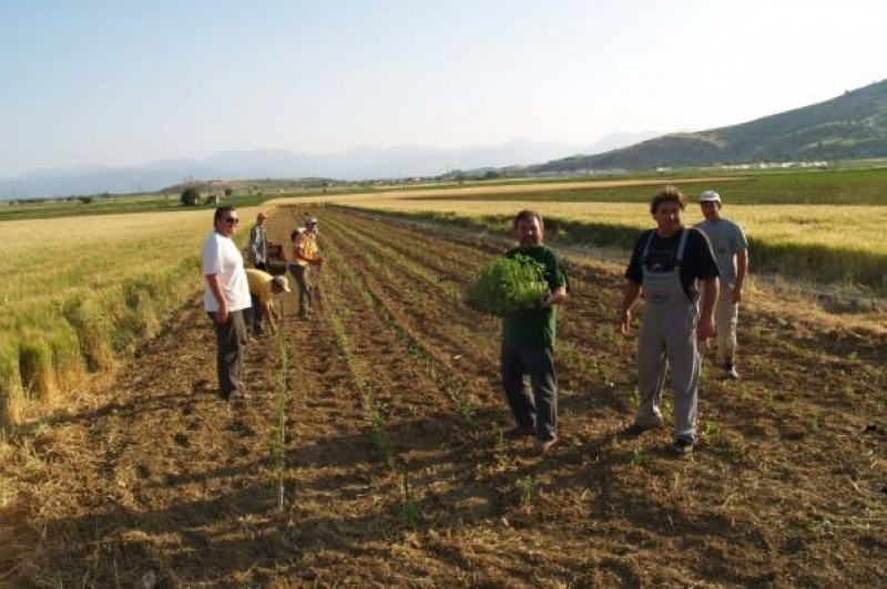 Είκοσι παραγωγικοί συνεταιρισμοί δημιουργούν νέο Φορέα