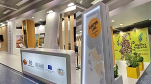Η Περιφέρεια Δυτικής Ελλάδας στην 89η Διεθνή Έκθεση Θεσσαλονίκης