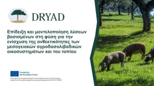 Ο Δήμος Ξηρομέρου στο Ευρωπαϊκό Πρόγραμμα DRYAD για την προσαρμογή στην κλιματική αλλαγή