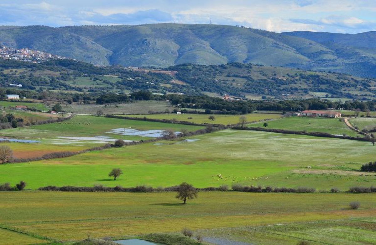 Οικολογικά Σχήματα: εγχειρίδιο για το «πράσινο χρήμα»