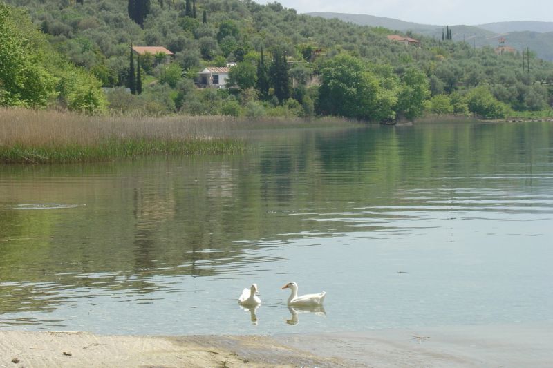 Δημοπρατήθηκε η μελέτη για την αξιοποίηση της Λίμνης Τριχωνίδας