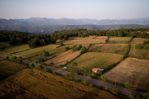 ΟΠΕΚΕΠΕ: Θέμα χρόνου η διασταύρωση στοιχείων από την ΑΑΔΕ – Έτσι θα λειτουργήσει η επιτροπή ελέγχου