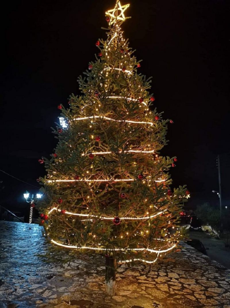Άναψε το Χριστουγεννιάτικο δέντρο στα Σιτόμενα