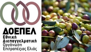 Η ΔΟΕΠΕΛ για την ελαιοκομική περίοδο 2024-2025