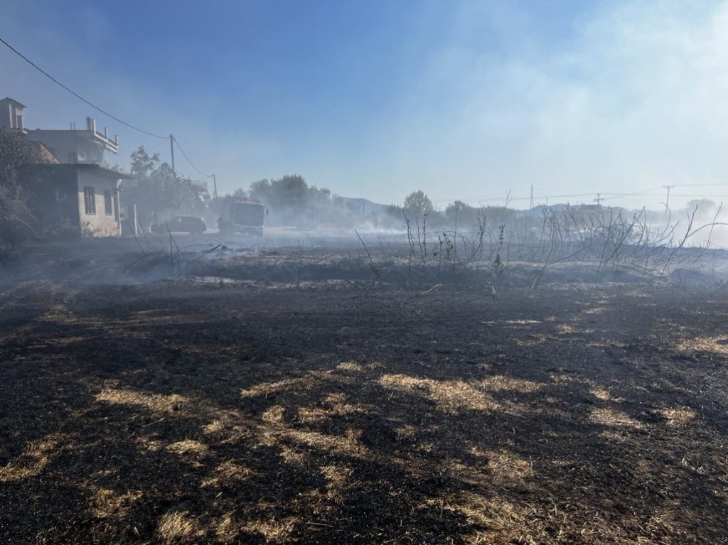 Επικίνδυνη φωτιά στο Αγρίνιο – Απειλήθηκαν σπίτια και οχήματα (φωτο)