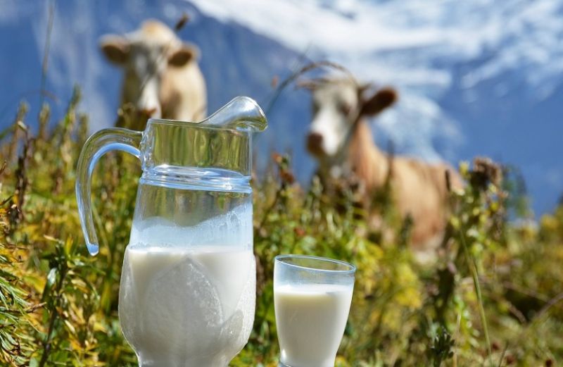 Προβλέψεις για τις αγορές γάλακτος και κρέατος