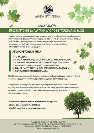 Μήνυμα αφύπνισης και προστασίας για τα πλατάνια από το δήμο Ναυπακτίας