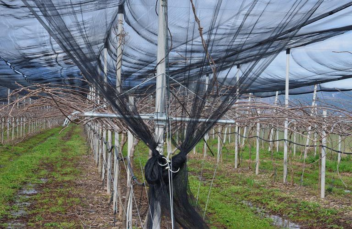 Έως 31 Ιουλίου οι αιτήσεις για τη Δράση 5.1.1