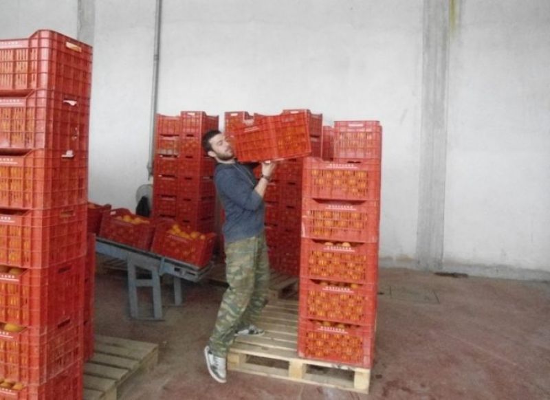 Νέες θέσεις εργασίας από τη «Westland Fruit» στη Γουριά