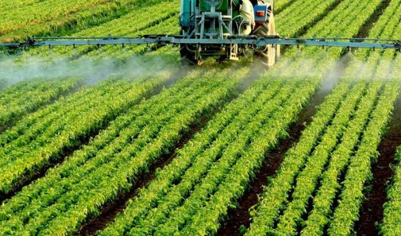 Την Δευτέρα η πληρωμή για την Ενιαία Ενίσχυση 2015