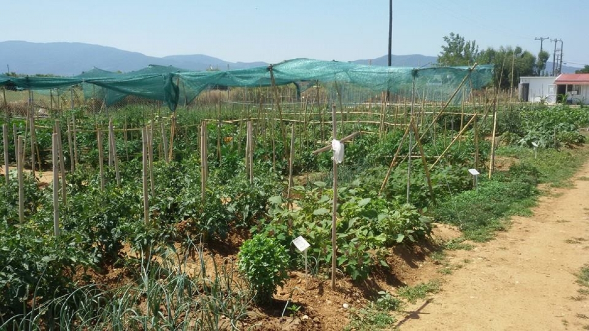 Έναρξη ανοιξιάτικων καλλιεργειών στον Δημοτικό Λαχανόκηπο Αγρινίου