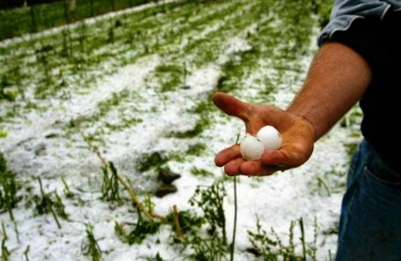 Ζημιές σε καλλιέργειες από τη χαλαζόπτωση