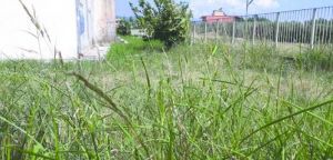 Δήμος Αγρινίου: «Καμπανάκι» για τα ακαθάριστα οικόπεδα