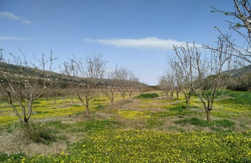 Παράταση στα Βιολογικά λόγω κορωνοϊού