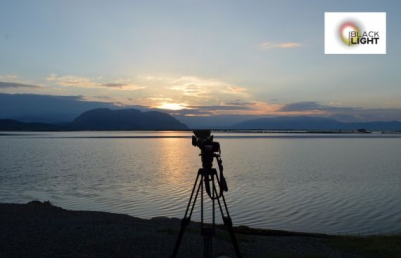 Nτοκιμαντέρ στο Εθνικό Πάρκο της λιμνοθάλασσας Μεσολογγίου – Αιτωλικού