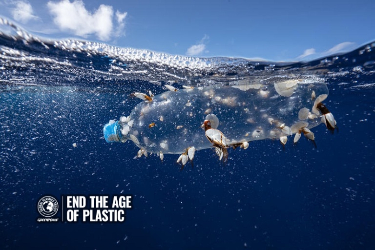 Εκστρατεία της Greenpeace για να απαλλαγούμε από το πλαστικό μιας χρήσης