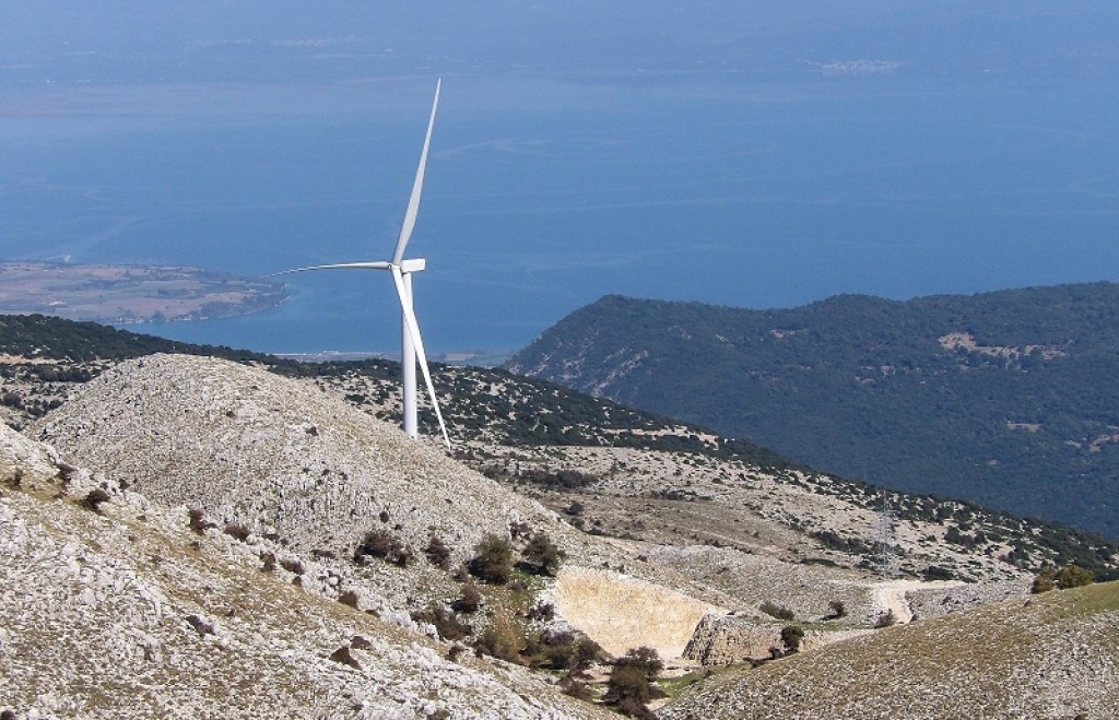 Νεκρός γύπας από ανεμογεννήτρια στην Αιτωλοακαρνανία-Ποιους καταγγέλλει η Ορνιθολογική