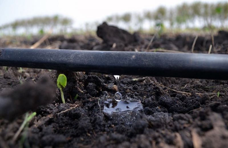 Νέοι κανόνες για την επαναχρησιμοποίηση του νερού στη γεωργία