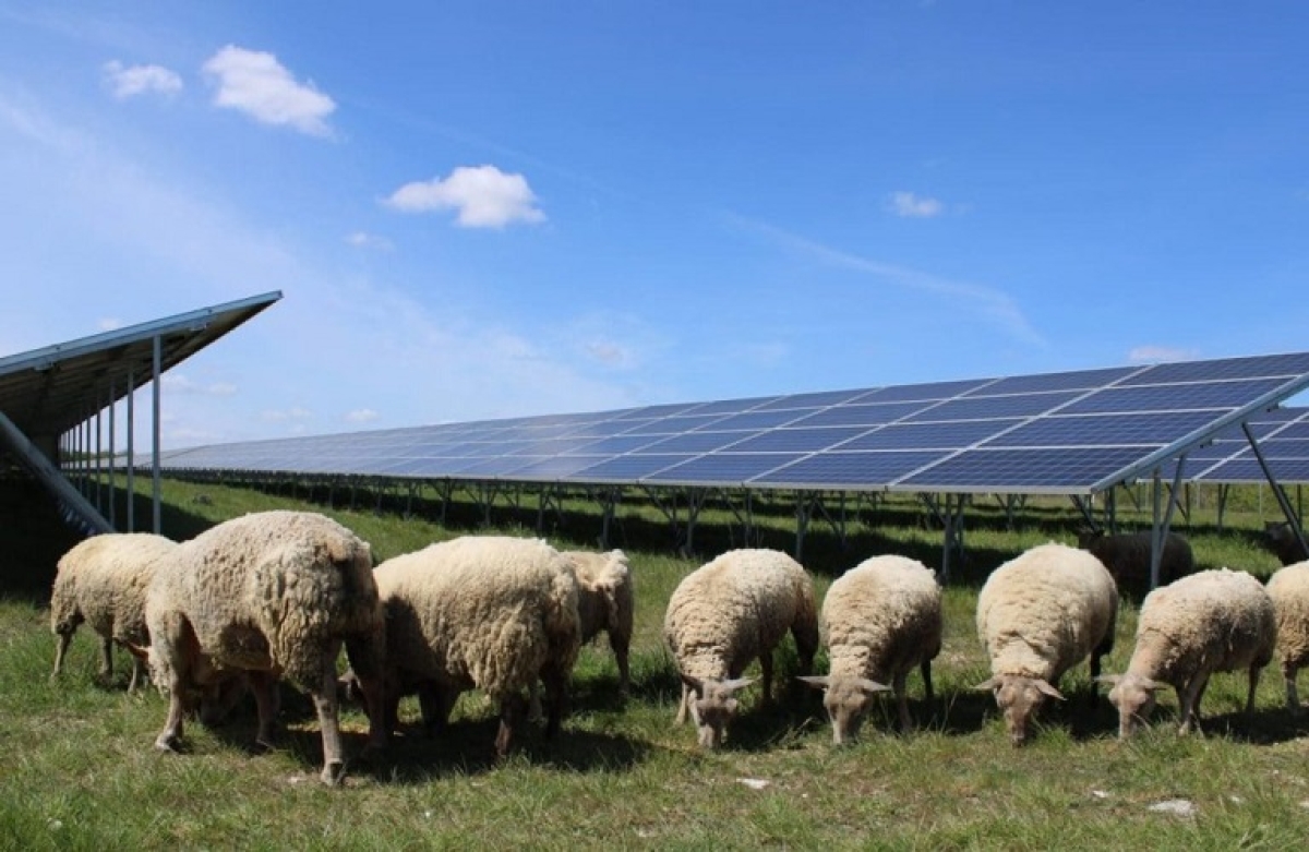 Ασφάλιση αγροτών με φωτοβολταϊκά έως 500 kW