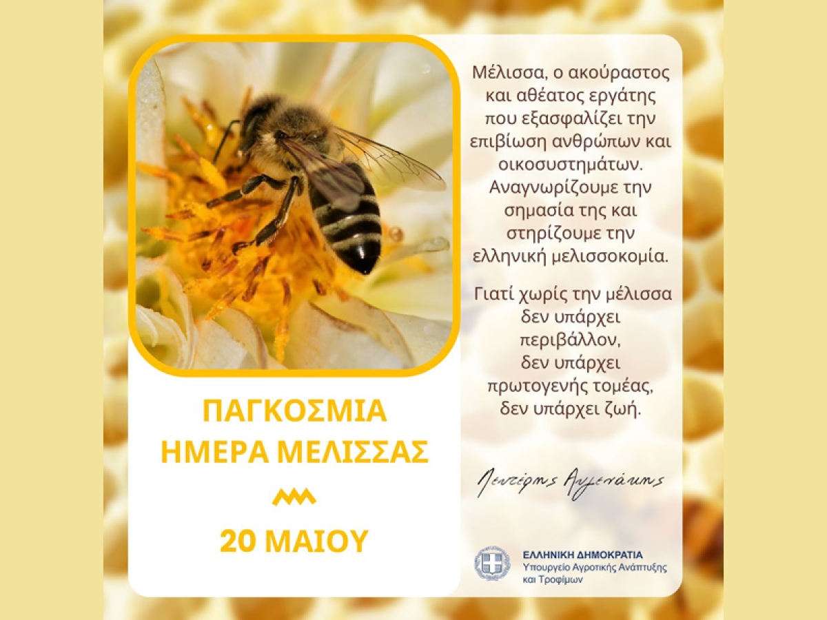 Μήνυμα ΥπΑΑΤ, Λευτέρη Αυγενάκη για την Παγκόσμια Ημέρα Μέλισσας - Η τεράστια συνεισφορά της στην παραγωγή