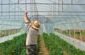 Πρόσβαση των αγροτών στο Ταμείο Εγγυοδοσίας για τον κορωνοϊό