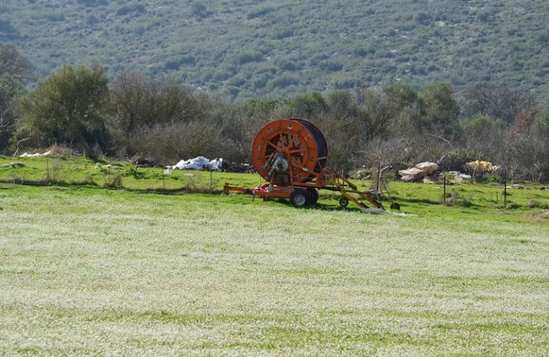 Πρώτη Δάσωση γεωργικών γαιών: τροποποιήσεις στις κυρώσεις