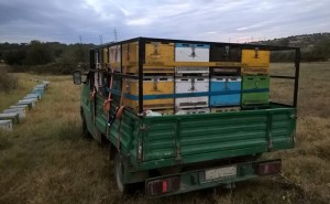 Οι Μελισσοκόμοι της Αιτωλοακαρνανίας ενισχύουν το μπλόκο αγροτών στο Αγγελόκαστρο – «Για τα παιδιά μας, ρε γα@#@!»