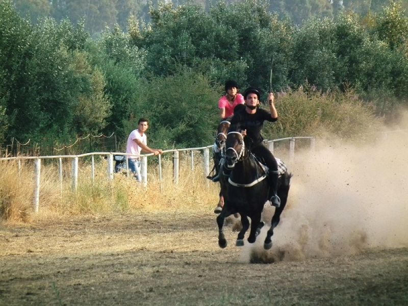 1ο Πανελλαδικό Horse Festival στο Ευηνοχώρι (14/8/2016)