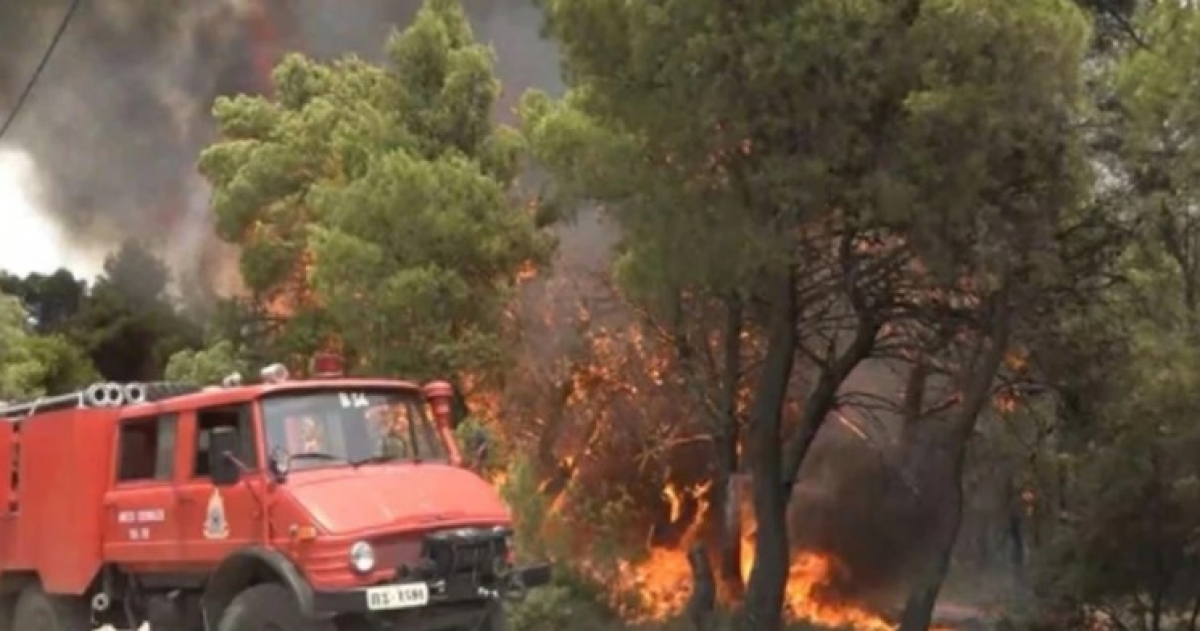 ΓΕΩΤ.Ε.Ε.: πολιτικές και δράσεις για τις δασικές πυρκαγιές