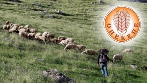 ΟΠΕΚΕΠΕ: 46χρονος Αγρινιώτης πήρε πάνω από 250.000 ευρώ - Πού βρίσκονται οι «εκατομμυριούχοι»
