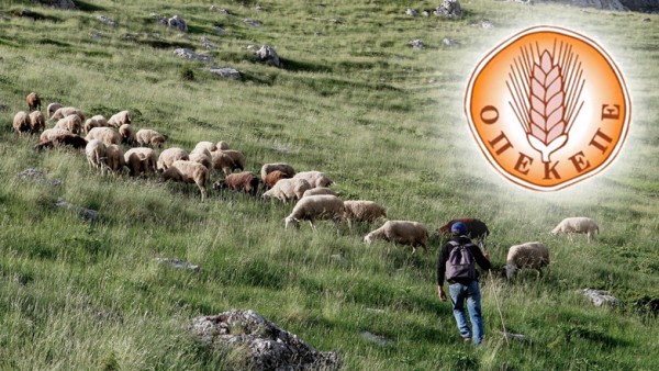 ΟΠΕΚΕΠΕ: 46χρονος Αγρινιώτης πήρε πάνω από 250.000 ευρώ - Πού βρίσκονται οι «εκατομμυριούχοι»