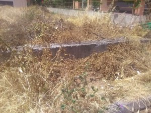 Ξεκίνησαν οι έλεγχοι σε ακαθάριστα οικόπεδα: 3.748 καταγγελίες πολιτών σε 18 ημέρες