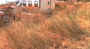 Ο Δήμος Αγρινίου καλεί τους κατόχους οικοπέδων να προβούν σε αποψίλωση και απομάκρυνση τυχόν εύφλεκτων υλικών και σκουπιδιών στα πλαίσια της αντιπυρικής περιόδου