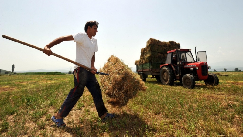 Ο Έλληνας αγρότης και η μάχη επιβίωσης