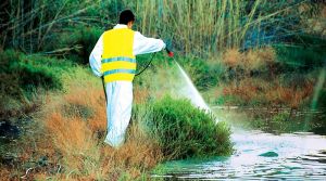 Εγκαίρως και φέτος οι ψεκασμοί του Δήμου Αγρινίου για τα κουνούπια