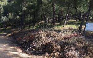 Επισήμανση του Υποψηφίου Δημάρχου Αγρινίου κ. Σταύρου Καμμένου για εγκληματική αμέλεια του Δήμου Αγρινίου στο Δάσος του Αγίου Χριστοφόρου