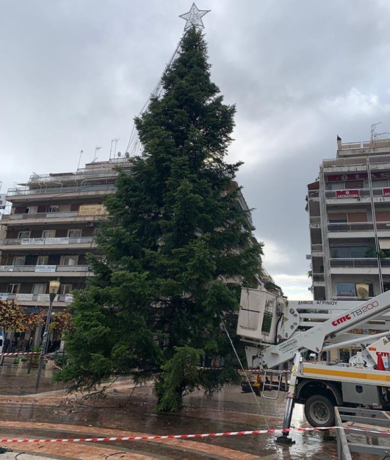 Το χριστουγεννιάτικο δένδρο στήθηκε στην πλατεία του Αγρινίου, αύριο Πέμπτη (αν δεν βρέχει) το άναμμα