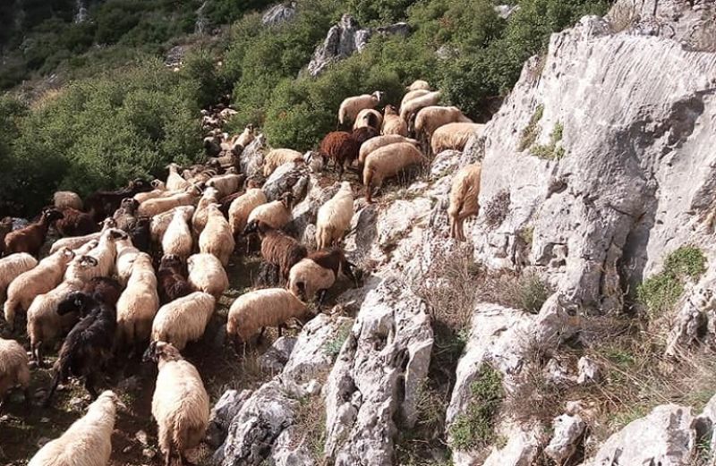 Μέχρι 3 Δεκεμβρίου οι ενστάσεις για την Εξισωτική Αποζημίωση