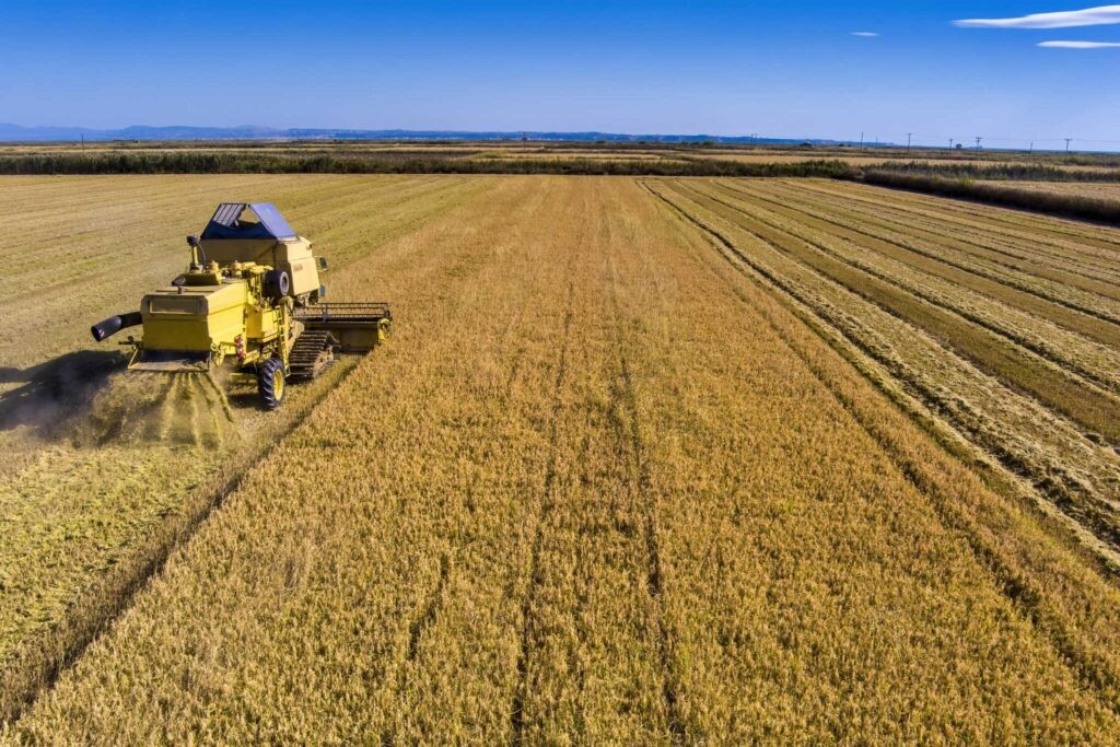 Πώς στήνεται ο νέος μηχανισμός ελέγχου των αγροτικών επιδοτήσεων από την ΑΑΔΕ