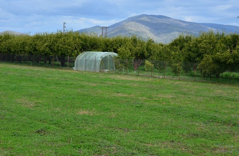 ΟΠΕΚΕΠΕ: αλλαγές στη διόρθωση προφανών σφαλμάτων