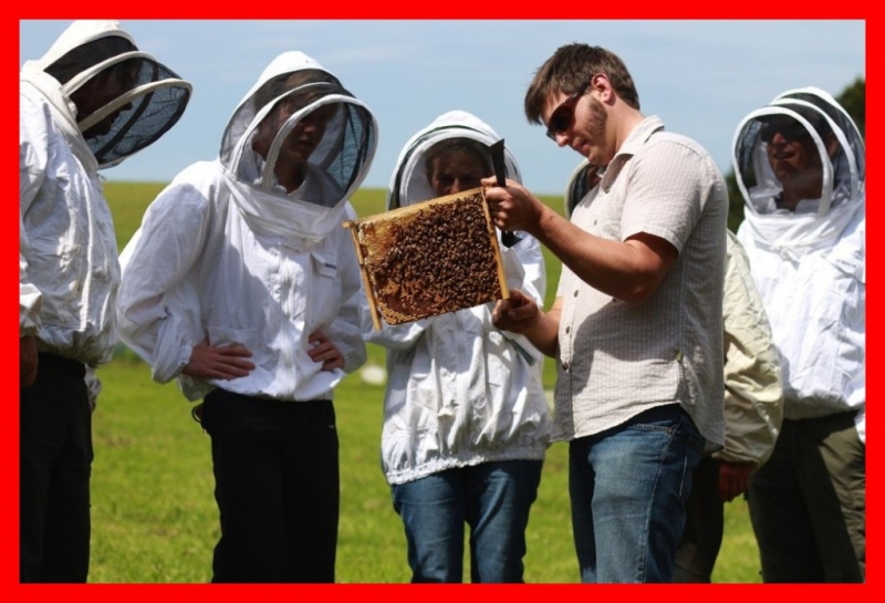 Μελισσοκομία: Ξεκίνημα από το μηδέν, το εισόδημα και οι τρέχουσες επιδοτήσεις!
